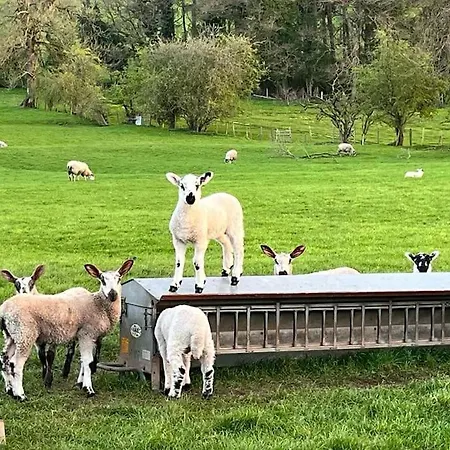 Hill House Дом отдыха